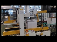 Automatische kartonverzegelingsmachine met productielijn van Smart Factory